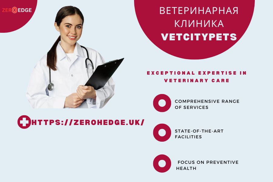 ветеринарная клиника vetcitypets